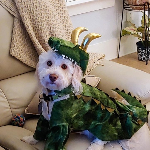 Meet your Posher, June - Picture 4 of 7